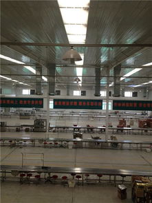 山東青島食品廠車間通風(fēng)降溫設(shè)備,通風(fēng)降溫,諸城世航環(huán)控