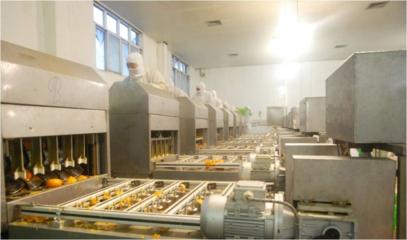 以&ldquo;新&rdquo;賦能,&ldquo;味&rdquo;見未來!豐島食品走出綠色智造之路