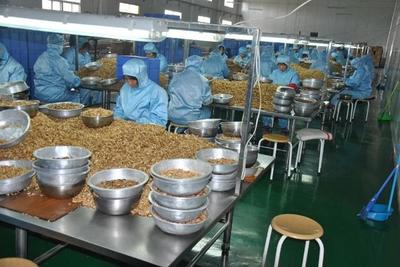 4個農村冷門創(chuàng)業(yè)致富項目,每一個都隱藏大商機!做的人還不多!