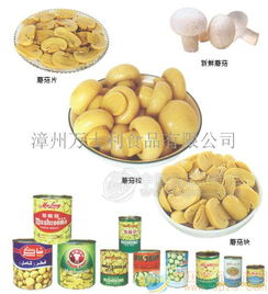蘑菇罐頭 批發(fā)價格 廠家 圖片 食品招商網(wǎng)